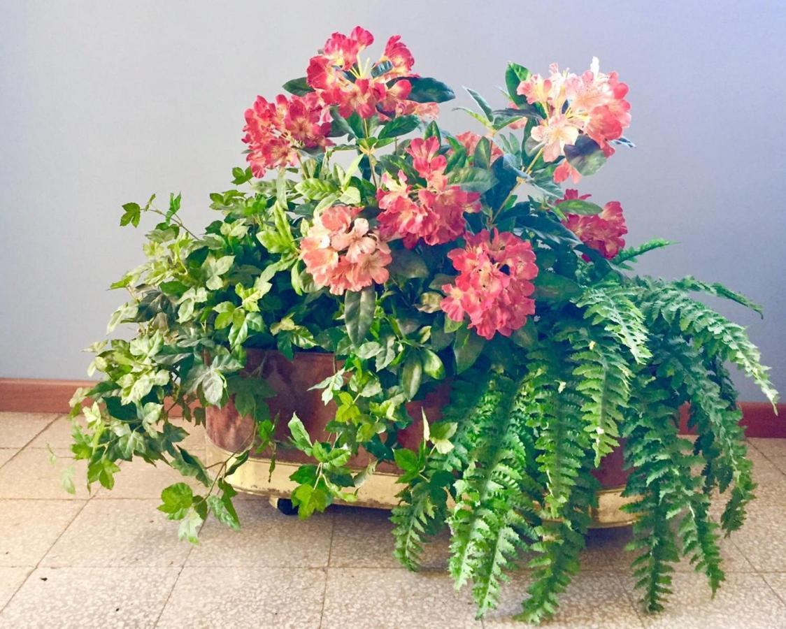 My Lovely Home Noto Extérieur photo